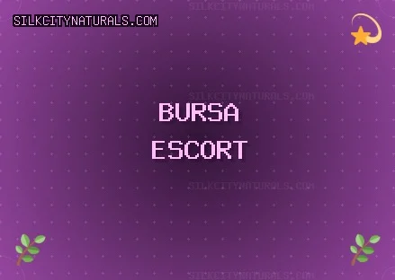 Bursa Escort: Karacabey Escort, Harmancık Escort, Mustafakemalpaşa Escort