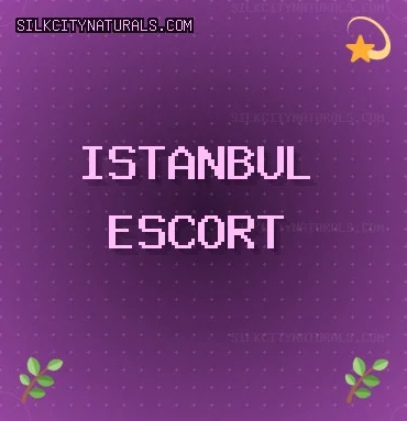 İstanbul Escort: Fatih Escort, Sarıyer Escort, Kartal Escort